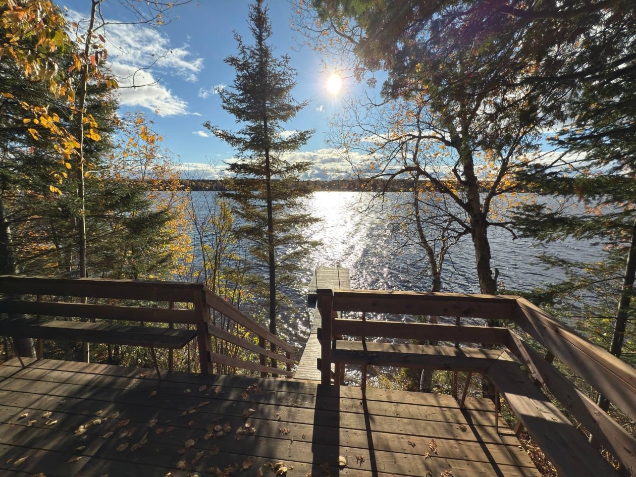 Photo 31 — 380 Sentier Potvin, Saint-Félix-d'Otis, G0V 1M0, Saint-Félix-d'Otis