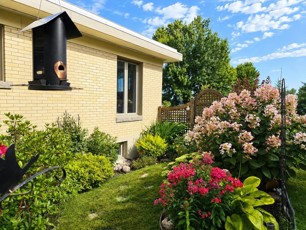 Cour — 875, Rue Murdock, Saguenay (Chicoutimi), G7H3Z8, Saguenay (Chicoutimi)