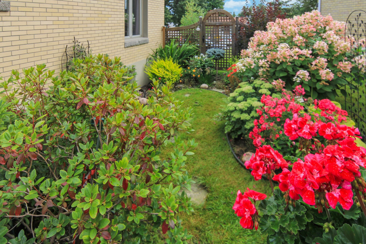 Extérieur — 875, Rue Murdock, Saguenay (Chicoutimi), G7H3Z8, Saguenay (Chicoutimi)