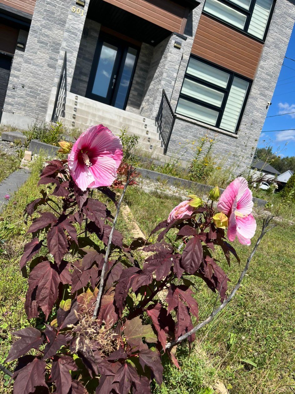 Photo 4 — 501 Rue Adèle-Berthelot, Saint-Colomban
