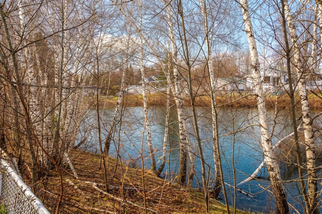 Bord de l'eau — 270, Ch. des Bouleaux, Shawinigan, G9R1S8, Shawinigan