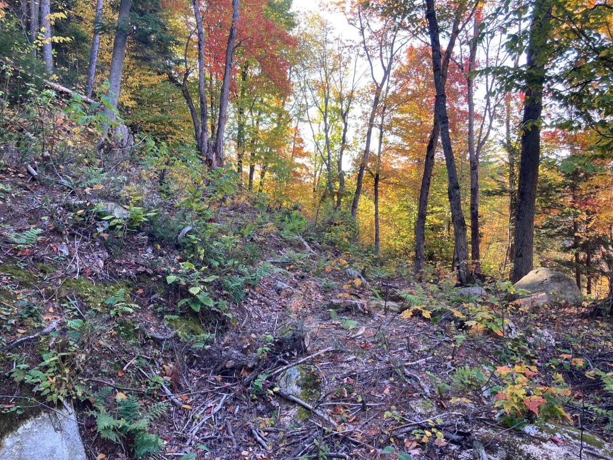 Terrain — Ch. de l'Orignal, Sainte-Thècle