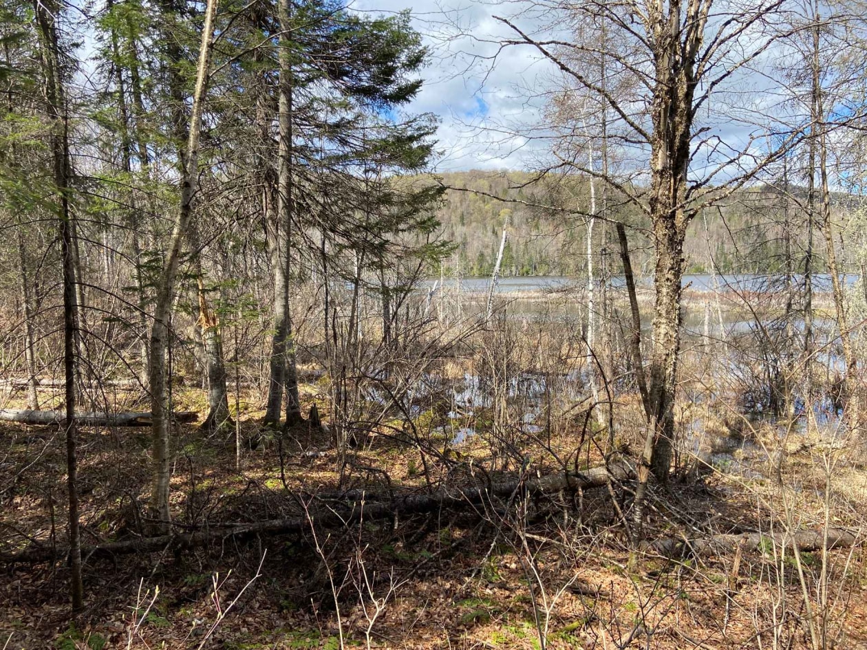 Bord de l'eau — Ch. du Lac-Cadotte, Trois-Rives