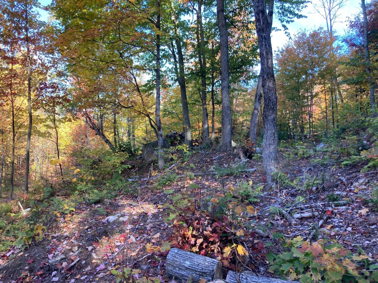 Terrain — Ch. de l'Orignal, Sainte-Thècle