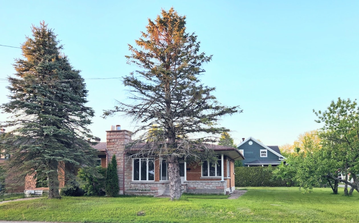 Terrain — 3555, 105e Avenue, Shawinigan, G9P5J5, Shawinigan