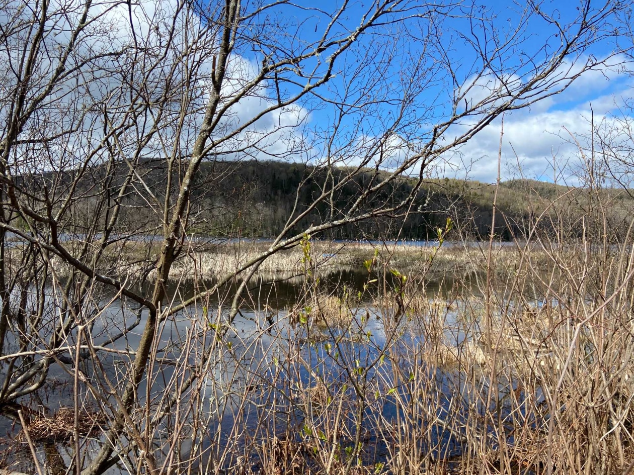 Bord de l'eau — Ch. du Lac-Cadotte, Trois-Rives