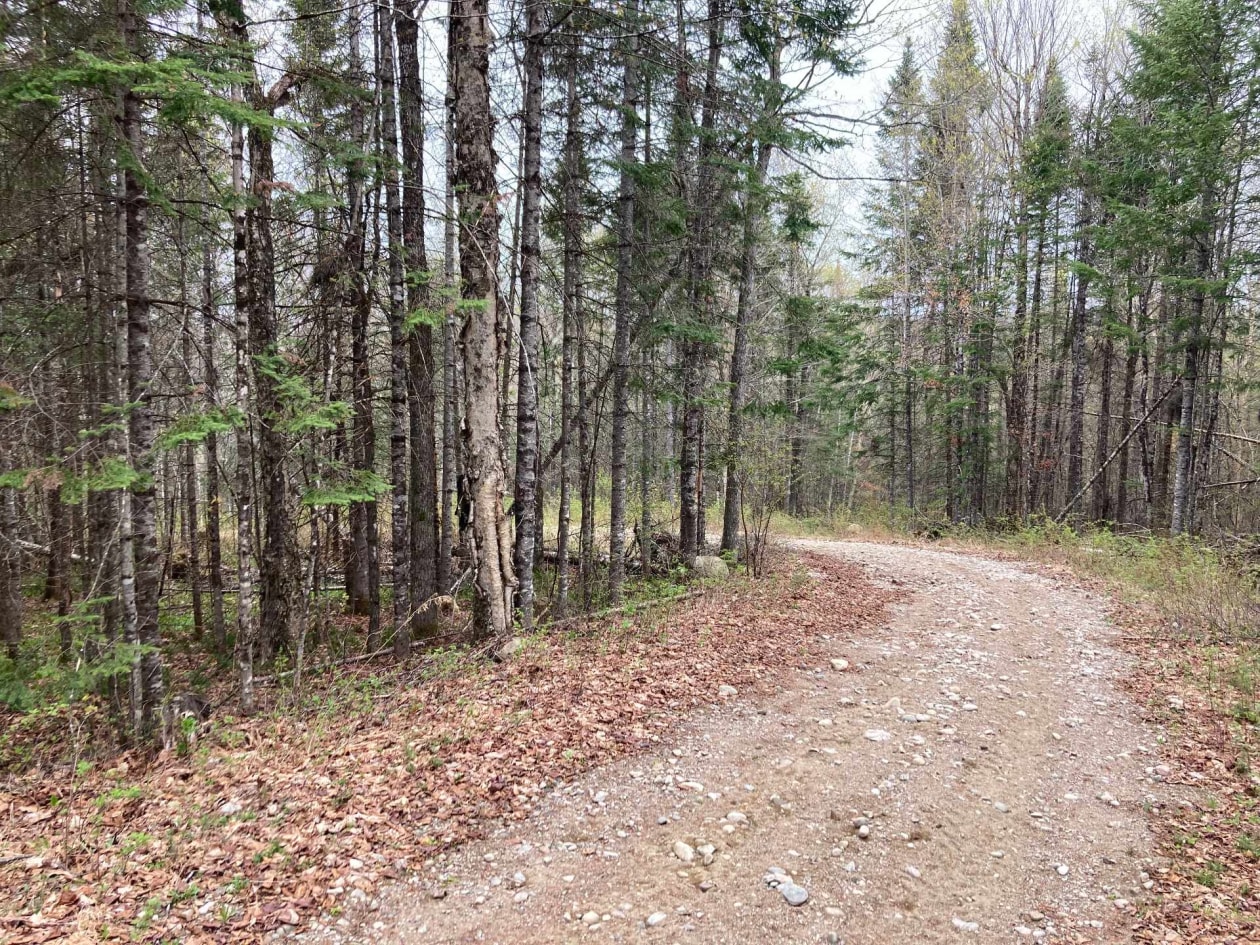 Photo 7 — Ch. du Lac-Cadotte, Trois-Rives