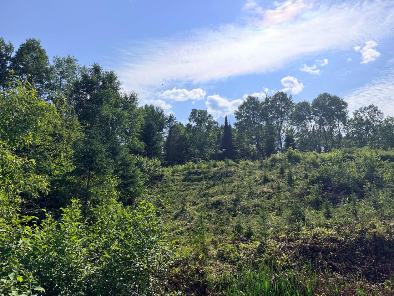 Boisé — Ch. St-Joseph, Trois-Rives