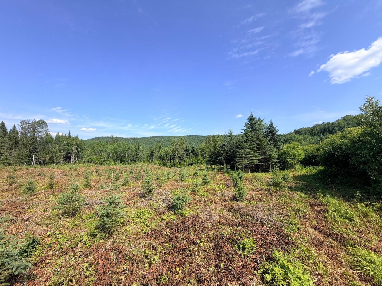 Photo 5 — Ch. St-Joseph, Trois-Rives