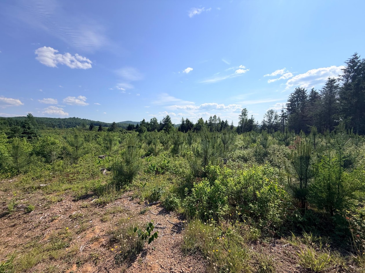 Boisé — Ch. St-Joseph, Trois-Rives