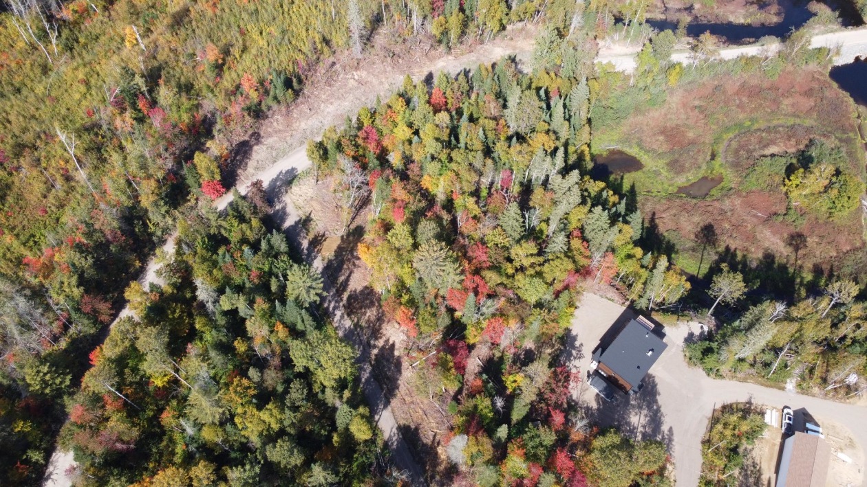 Terrain — 394 Ch. des Bêtes-Puantes, Lac-Normand