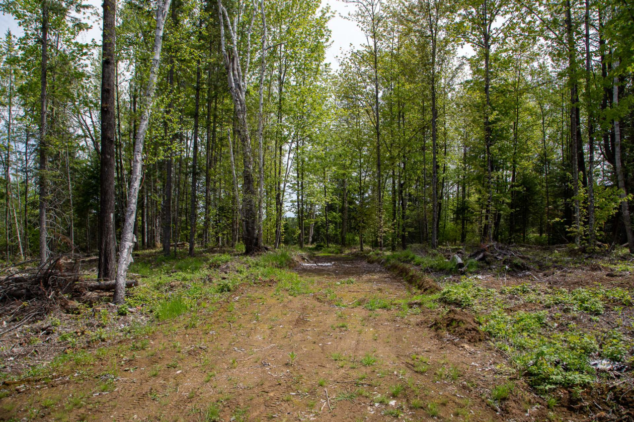 Terrain — 394 Ch. des Bêtes-Puantes, Lac-Normand