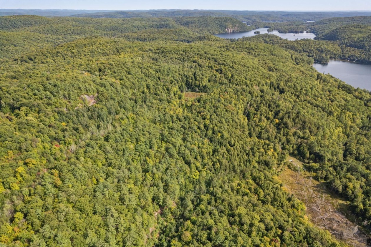 Terrain — 389 Ch. de Val-du-Lac, Val-des-Monts