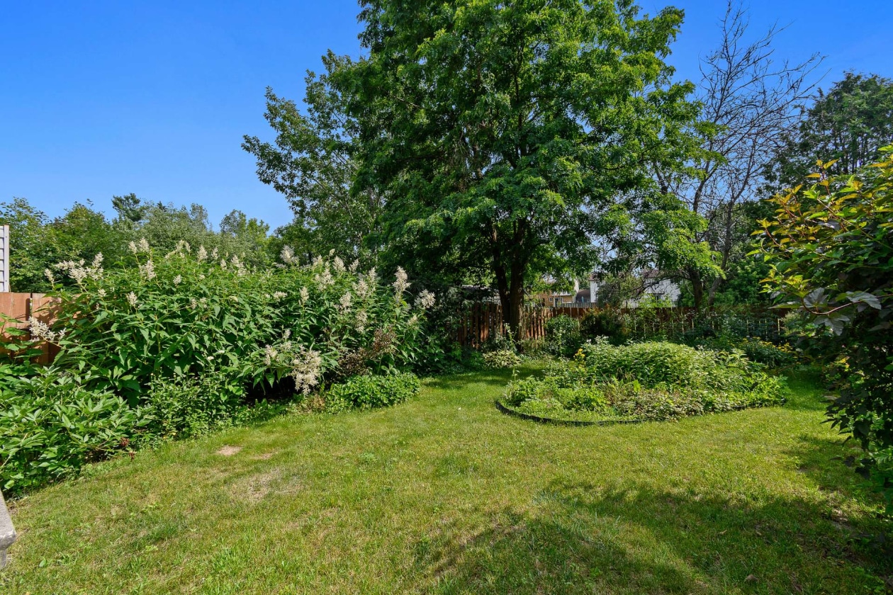 Cour — 292, Rue A.-Primeau, Gatineau (Gatineau), J8R1C1, Gatineau (Gatineau)