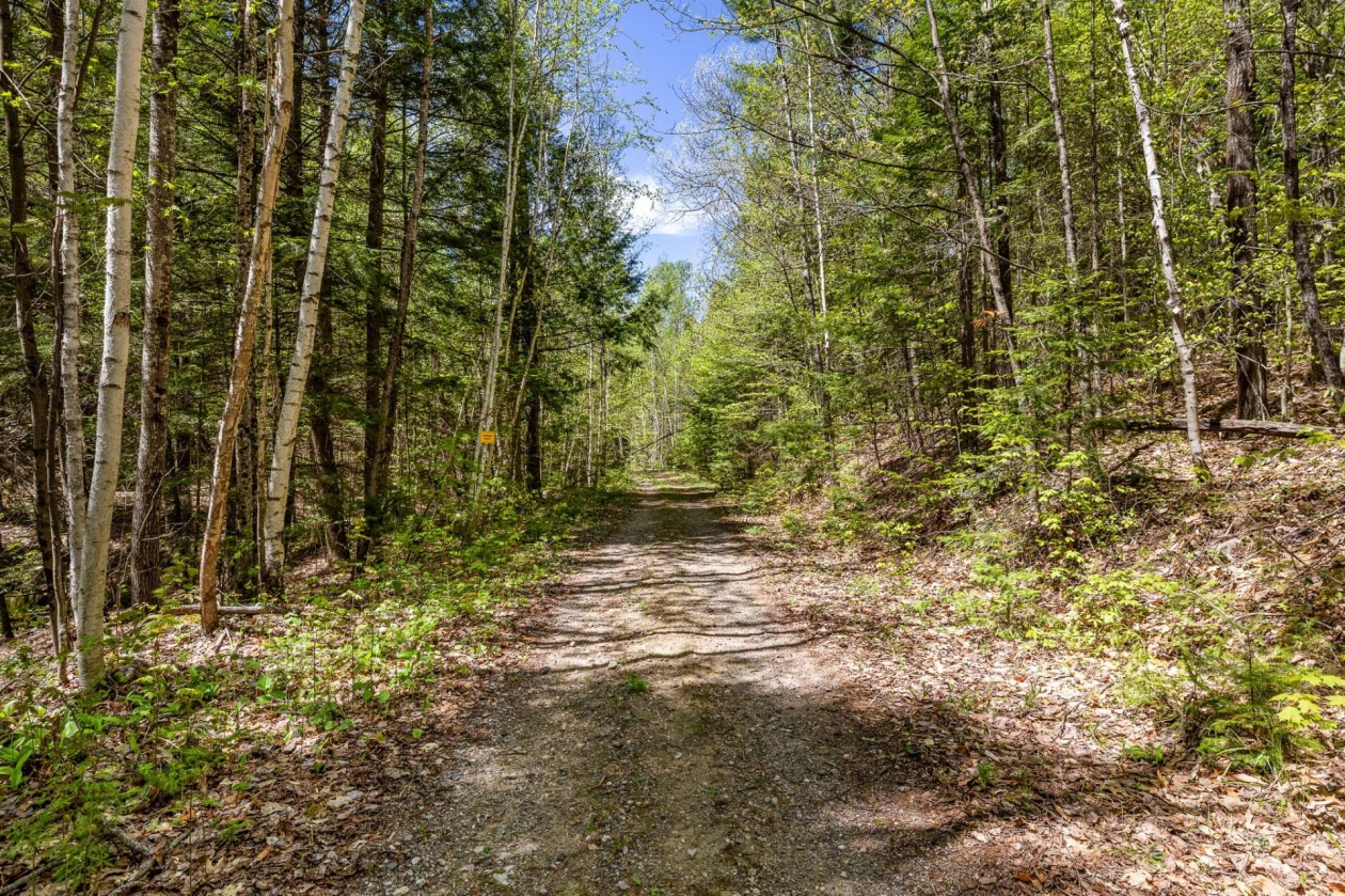 Terrain — 105 Ch. du Rouge-Gorge, Val-des-Monts
