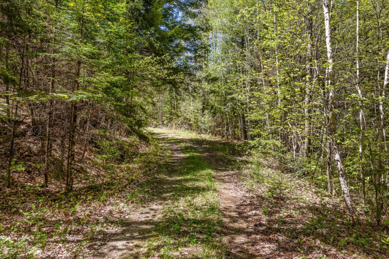 Terrain — 105 Ch. du Rouge-Gorge, Val-des-Monts