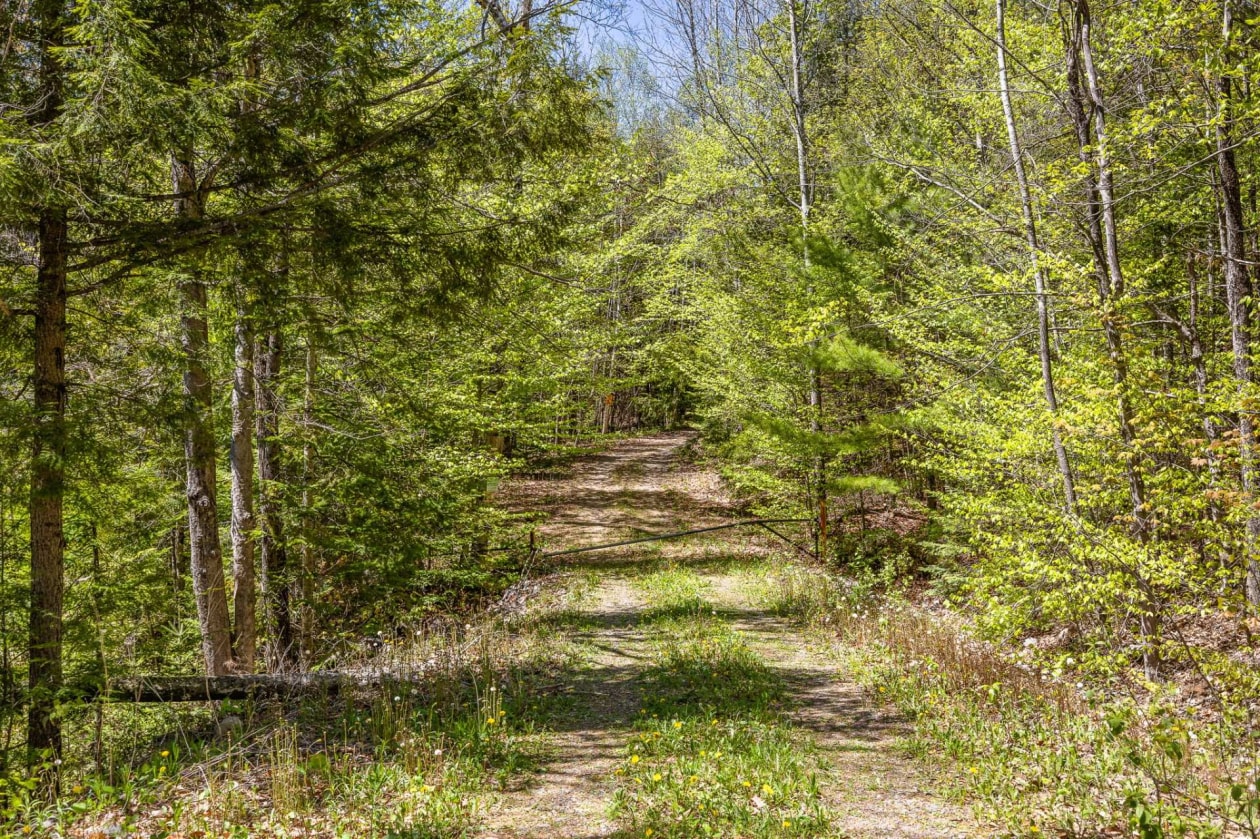 Terrain — 105 Ch. du Rouge-Gorge, Val-des-Monts