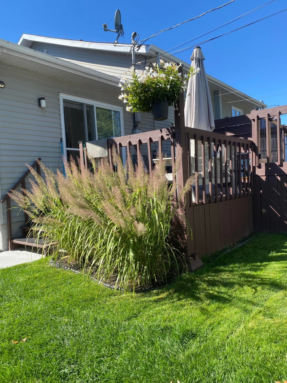Cour — 2365, Rue Gagnon, Trois-Rivières, G8Z4R1, Trois-Rivières