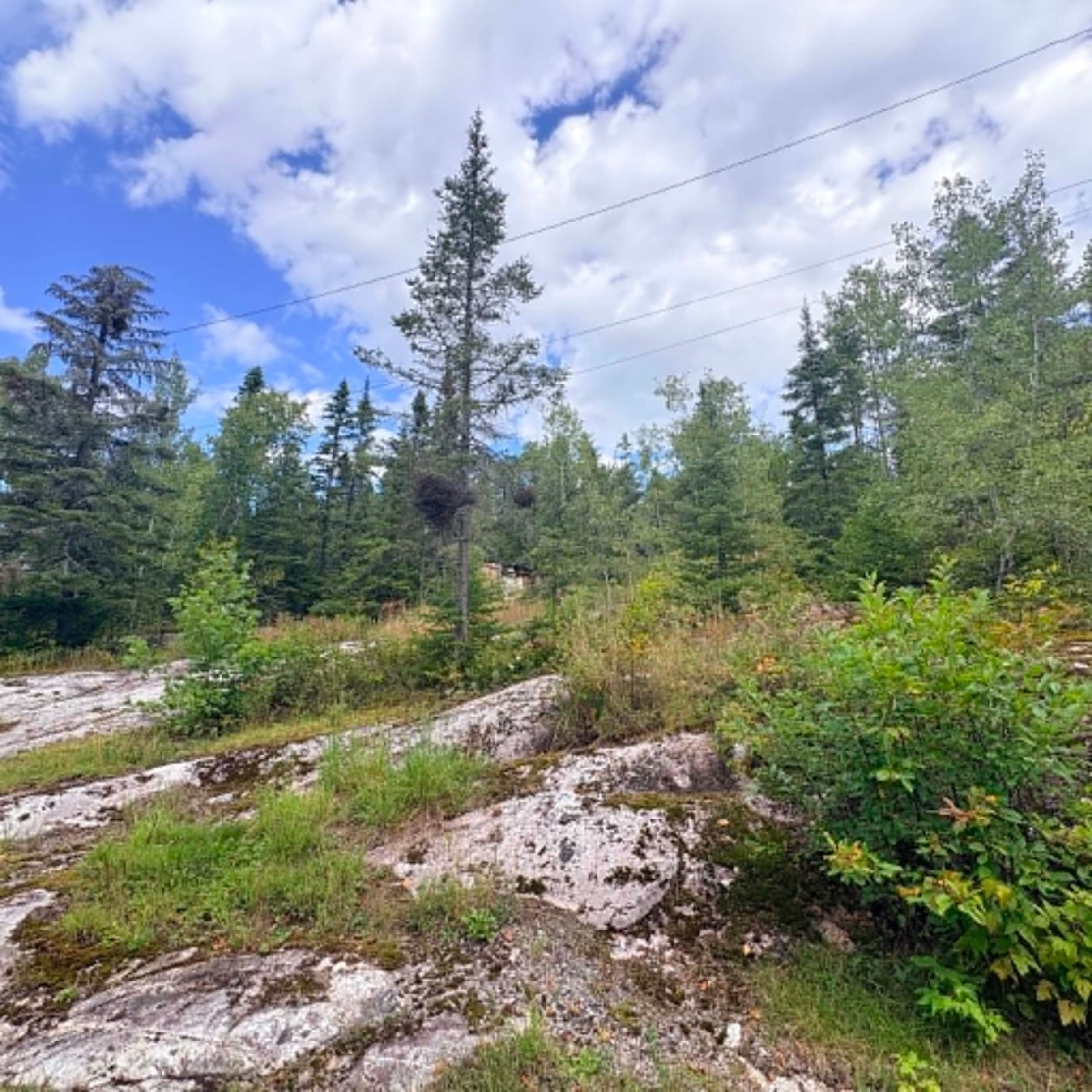 Extérieur — 3843, Rue de la Presqu'île, Saguenay (Lac-Kénogami), G7X7V6, Saguenay (Lac-Kénogami)