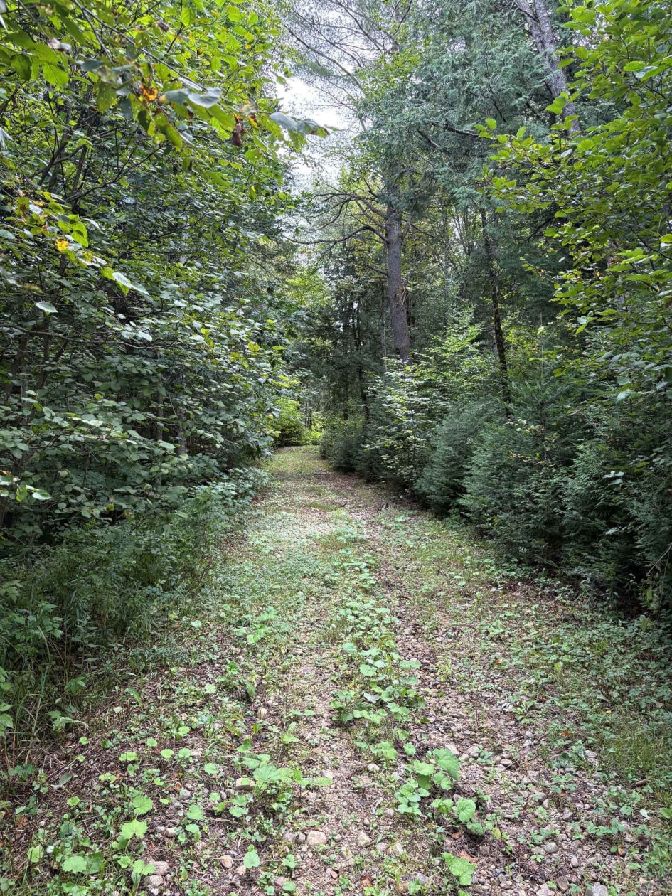 Terrain — Ch. du Vallon, Saint-Jean-de-Matha