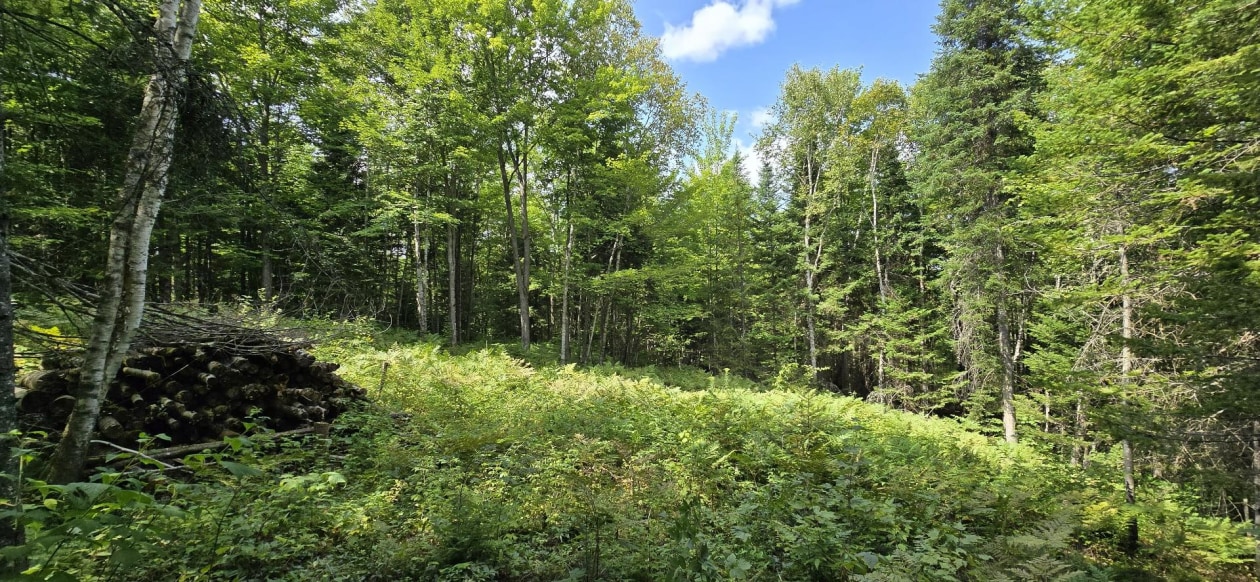 Terrain — Ch. du Vallon, Saint-Jean-de-Matha