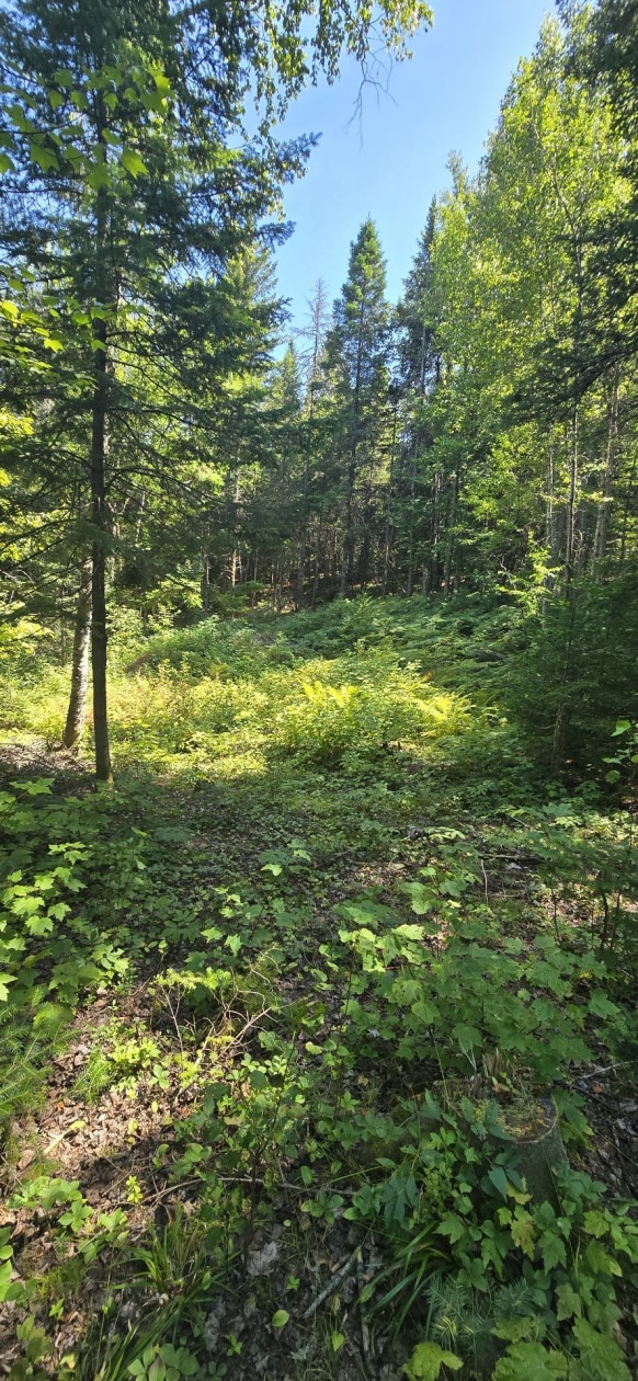 Terrain — Ch. du Vallon, Saint-Jean-de-Matha