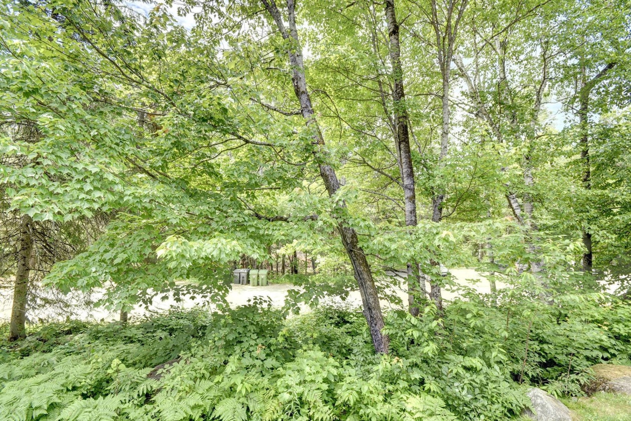 Cour — 1043 Crois. des Soleils, Mont-Tremblant
