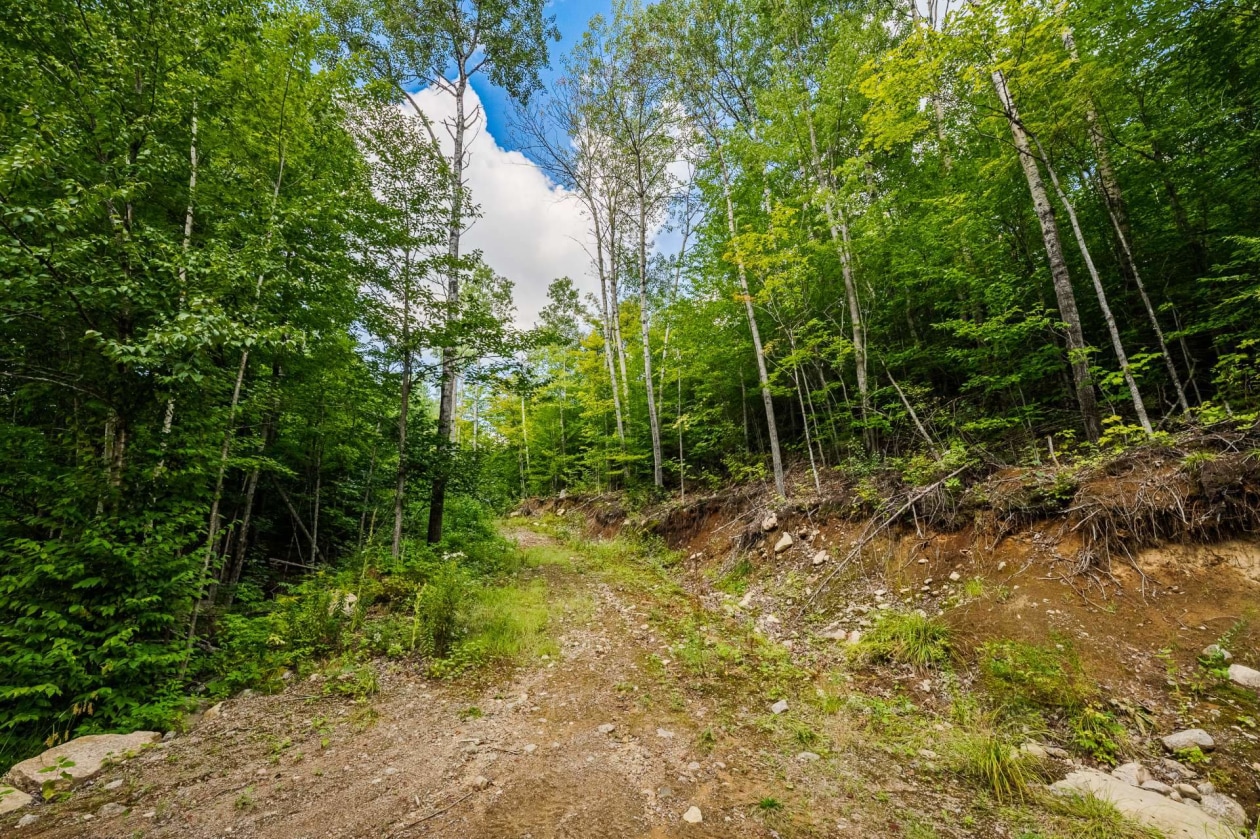 Terrain — Ch. du Lac-Thomas, Saint-Didace