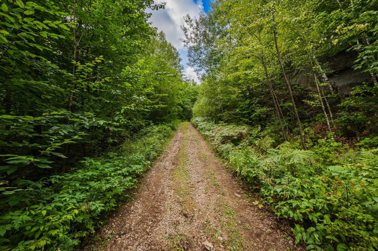 Terrain — Ch. du Lac-Thomas, Saint-Didace