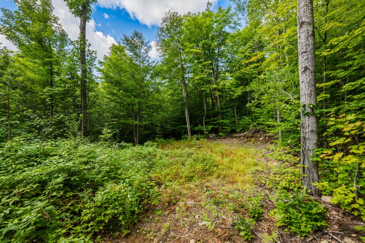 Terrain — Ch. du Lac-Thomas, Saint-Didace