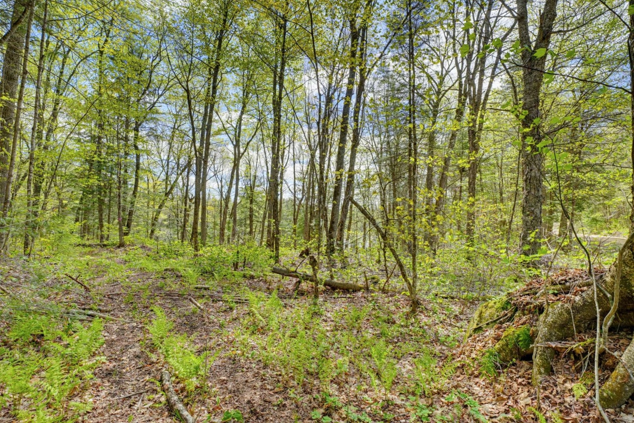 Terrain — Ch. du Lac-Hawk, Mulgrave-et-Derry
