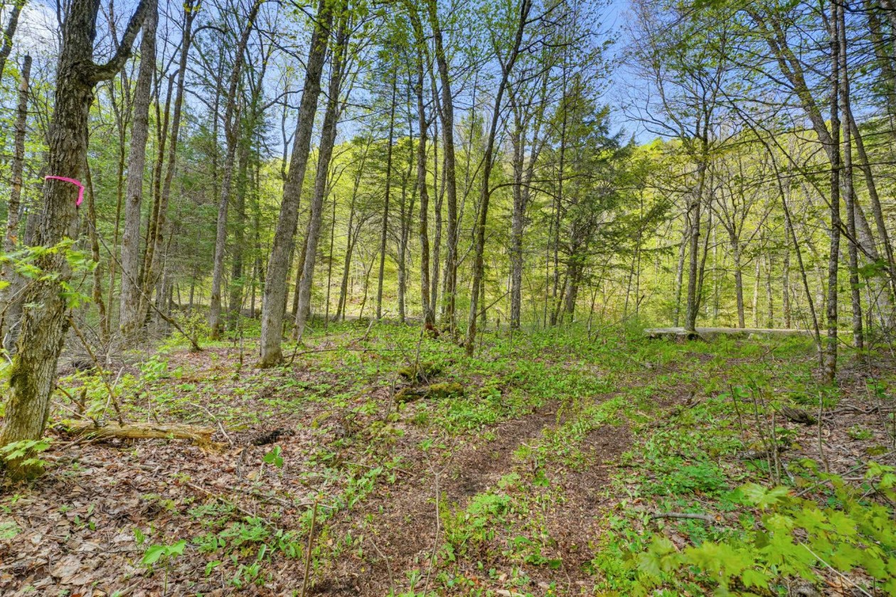 Terrain — Ch. du Lac-Hawk, Mulgrave-et-Derry