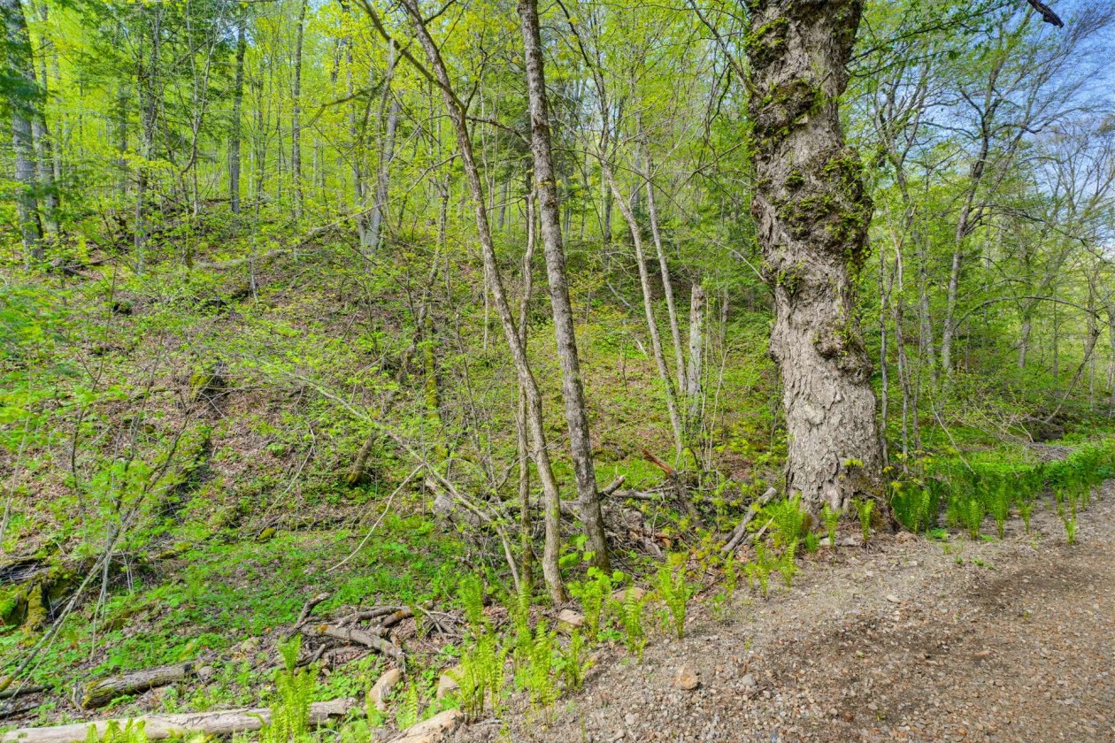 Terrain — Ch. du Lac-Hawk, Mulgrave-et-Derry