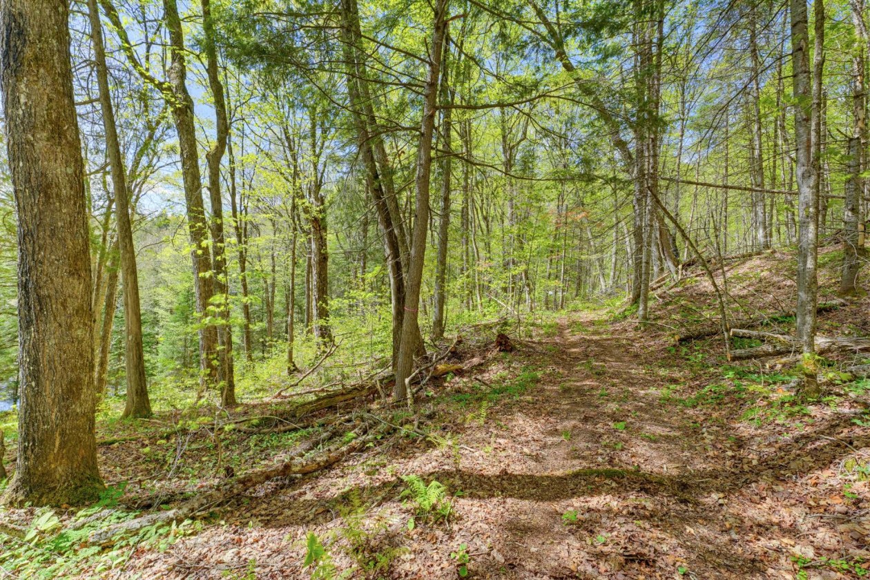 Terrain — Ch. du Lac-Hawk, Mulgrave-et-Derry