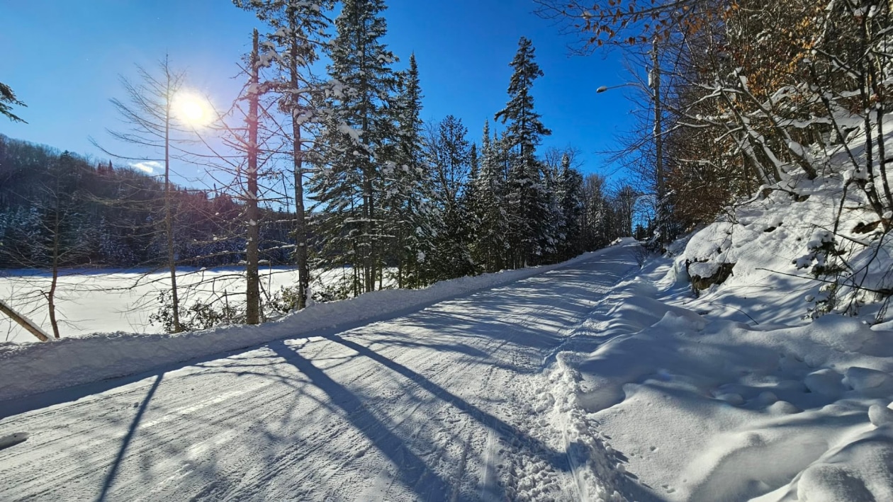 Terrain — Ch. des Bouleaux, Saint-Adolphe-d'Howard
