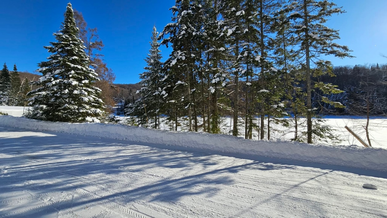 Terrain — Ch. des Bouleaux, Saint-Adolphe-d'Howard