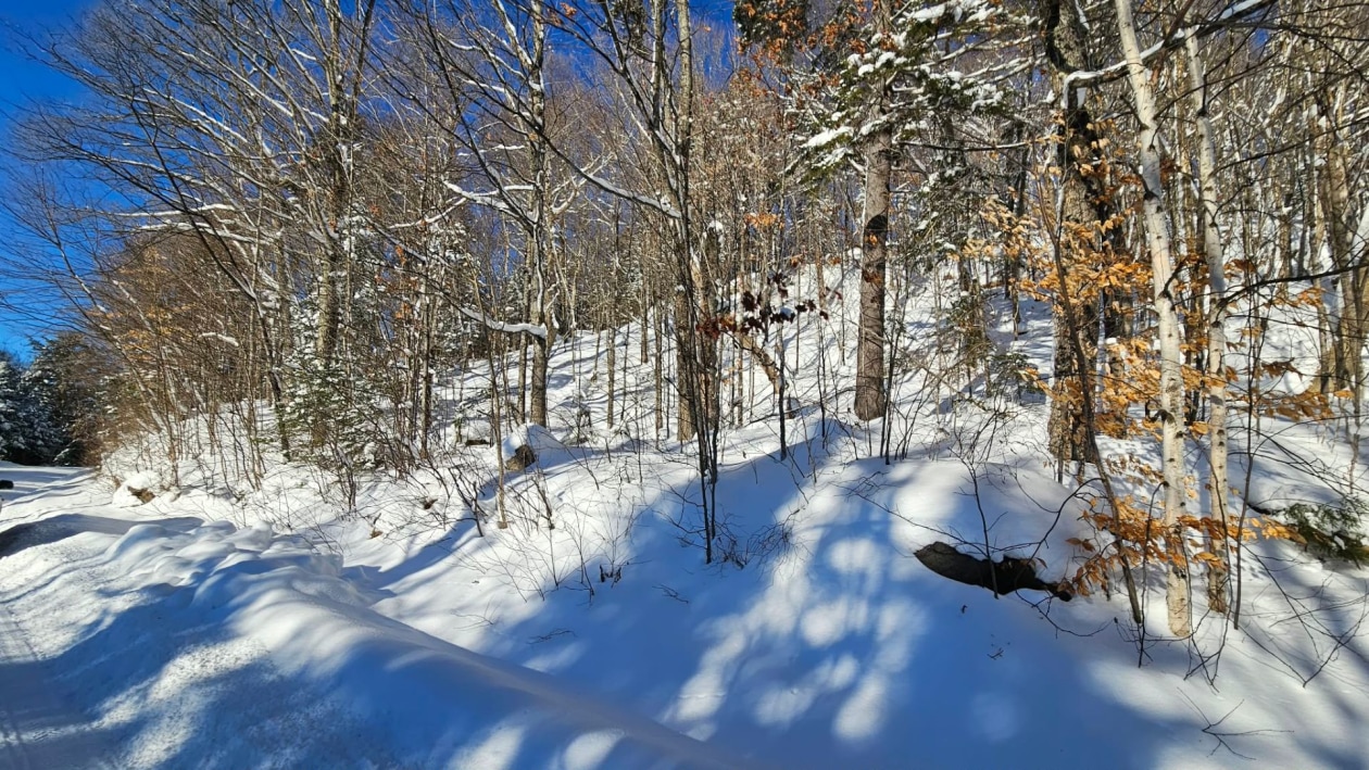 Terrain — Ch. des Bouleaux, Saint-Adolphe-d'Howard