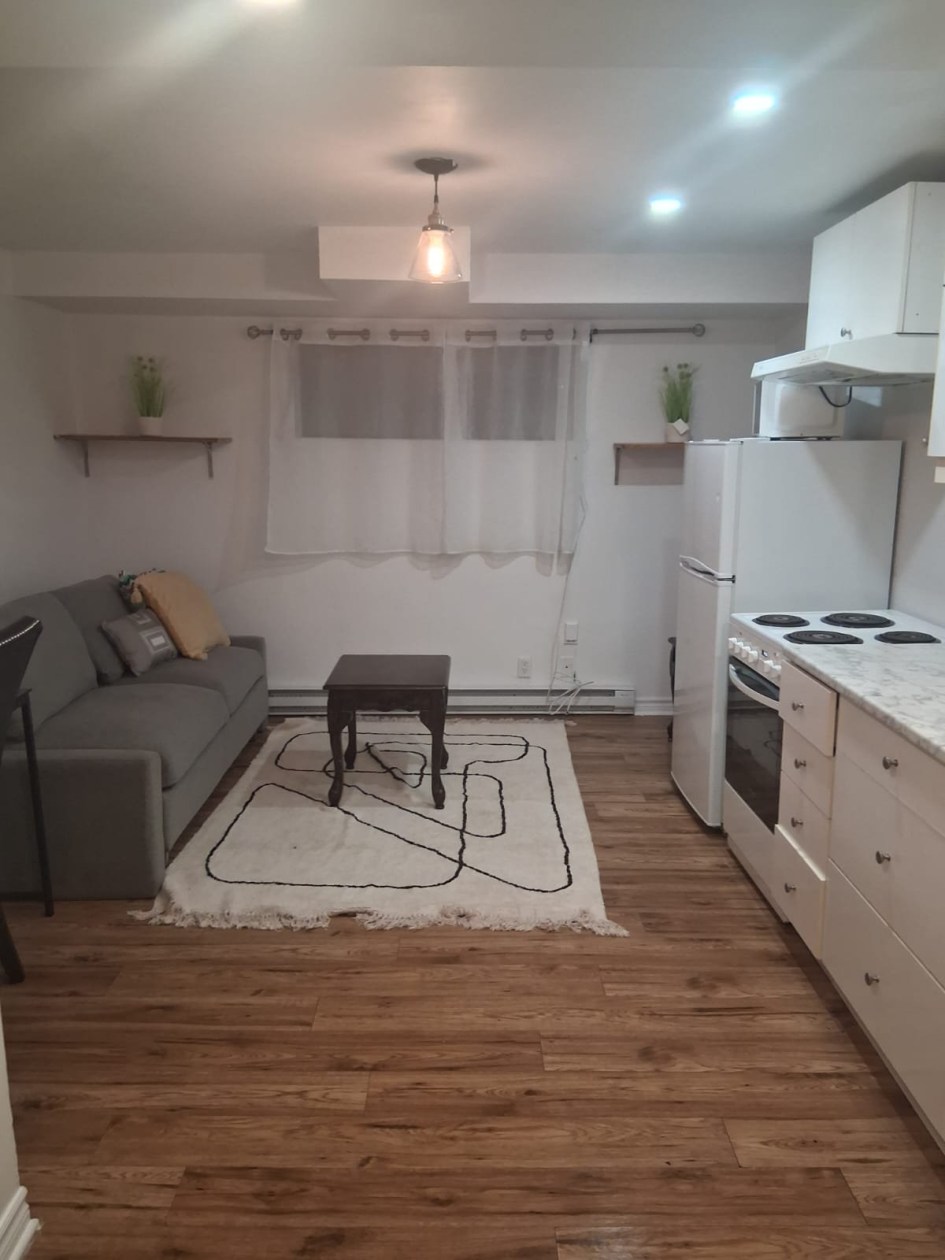 Vue d'ensemble — 3342 Rue Alexandra, Longueuil