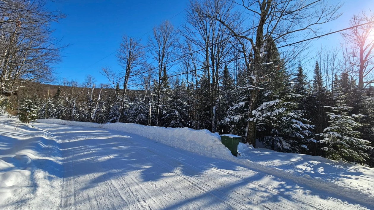 Terrain — Ch. des Bouleaux, Saint-Adolphe-d'Howard