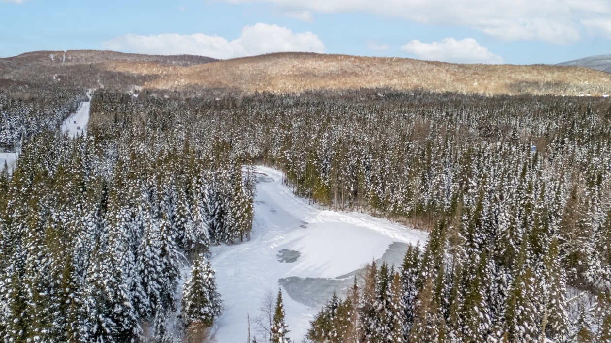 Vue d'ensemble — 129 Allée Boisvert, Shannon