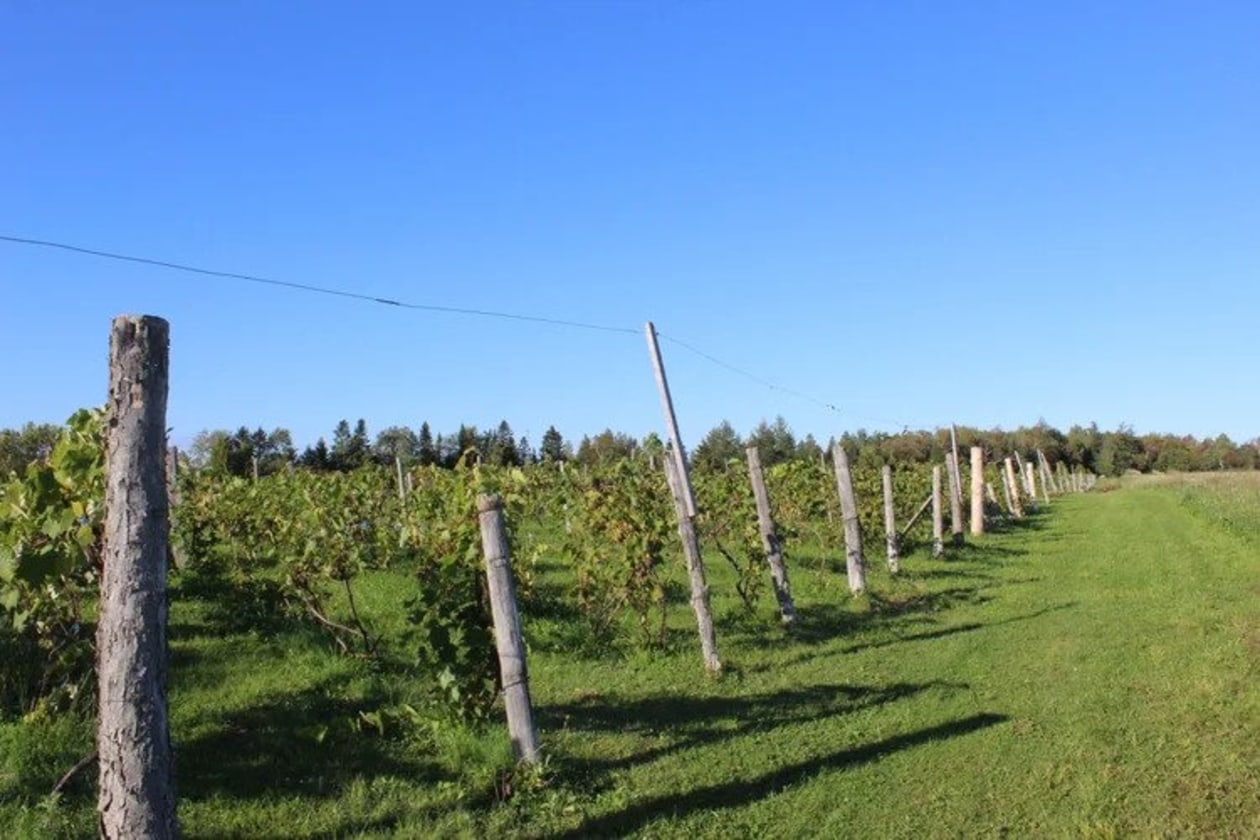 Photo 8 — 991 Ch. des Îles, Lévis