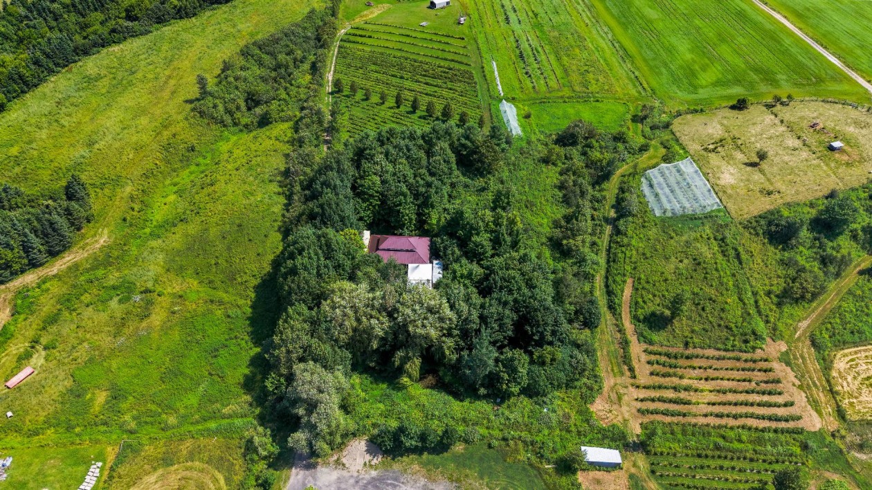 Vue d'ensemble — 991Z Ch. des Îles, Lévis