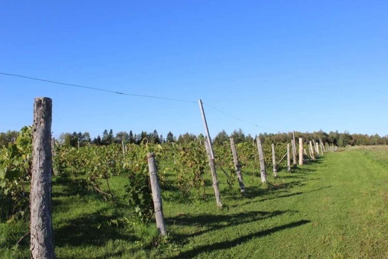 Photo 8 — 991Z Ch. des Îles, Lévis