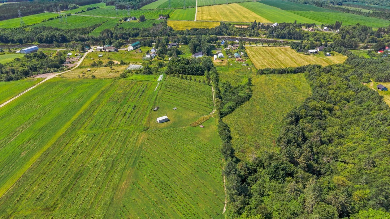 Vue d'ensemble — 991 Ch. des Îles, Lévis