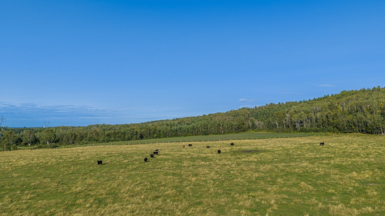 Photo 60 — 661 3e Rang O., Saint-Anaclet-de-Lessard