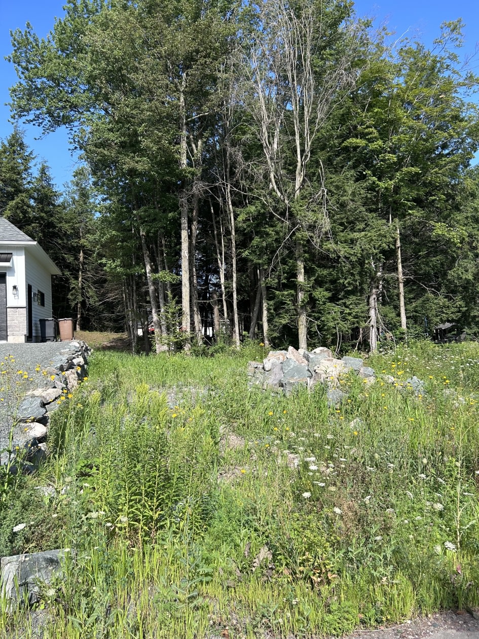 Photo 4 — 922 rejane-laberge, Granby