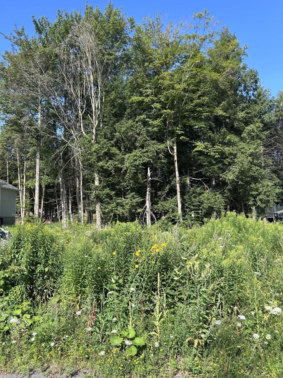 Photo 5 — 922 rejane-laberge, Granby