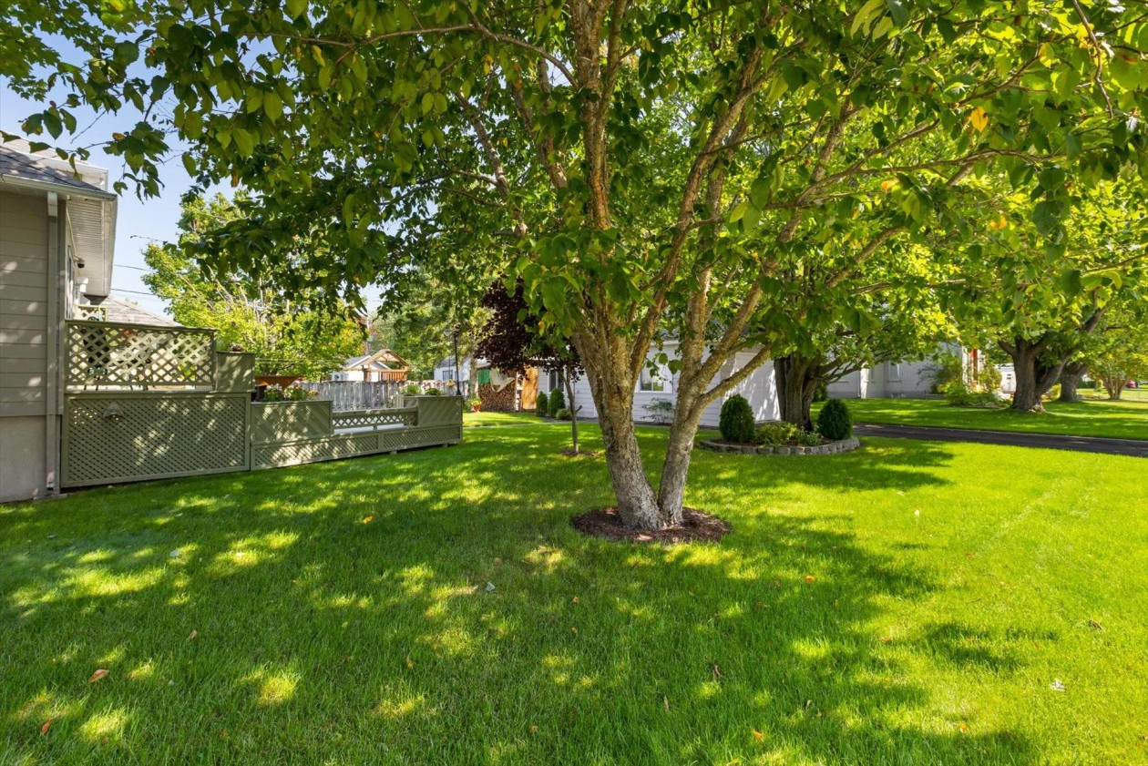 Cour — 800, Rue Deveau, Trois-Rivières, G8V1L1, Trois-Rivières