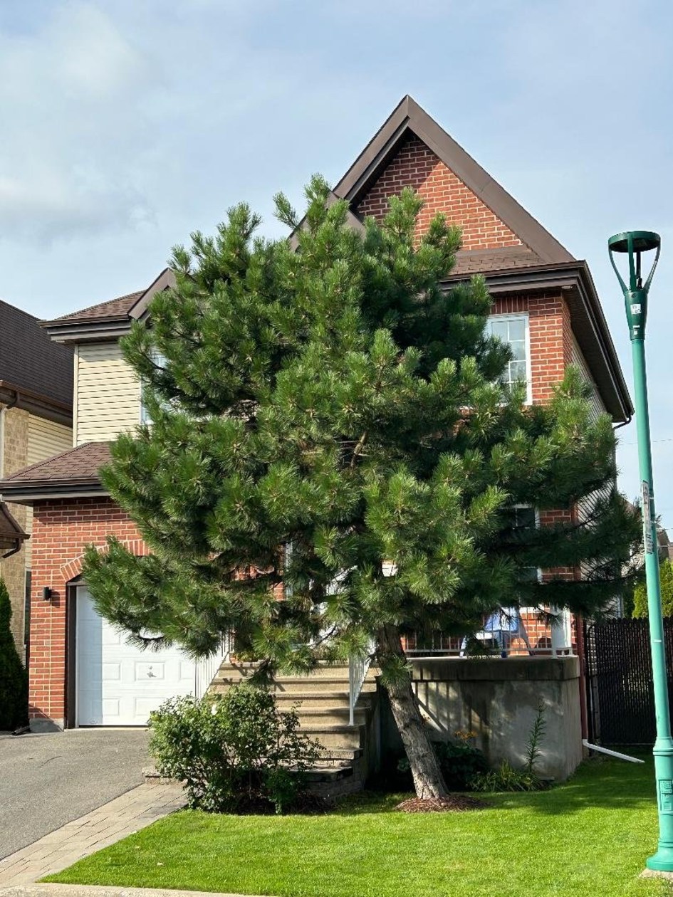 Façade — 4059 Rue Aubert, Laval