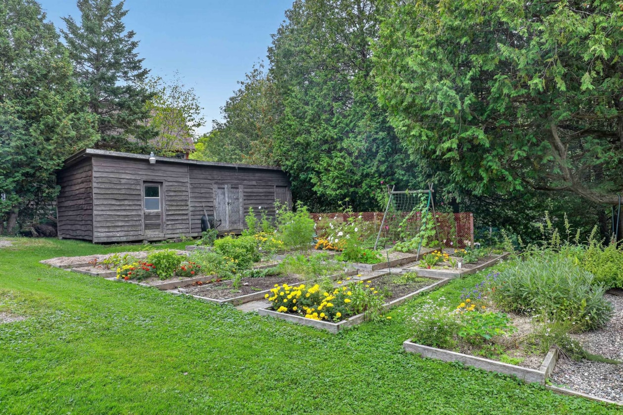 Jardin — 54 Ch. de la Lobélie, Mulgrave-et-Derry